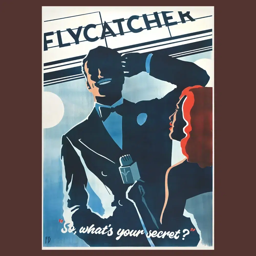 Flycatcher - Image 3